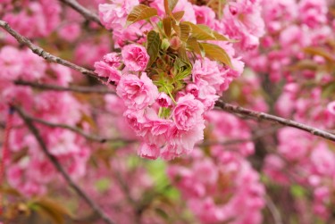 金华兰溪5线下个人借款平台一站式服务，轻松解决资金难题