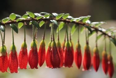 金华兰溪5零用贷短借：轻松解决临时资金需求